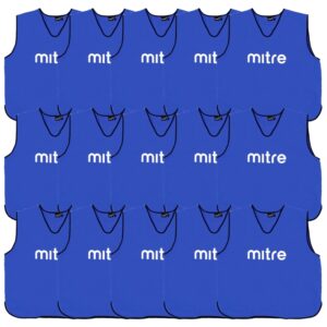 Blue Bib - 15 Pack