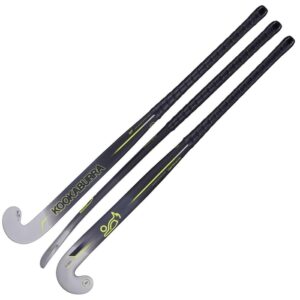 Phyton Hockey Stick