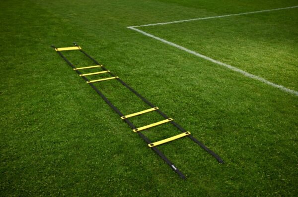 Quadruple Agility Ladders - Image 3
