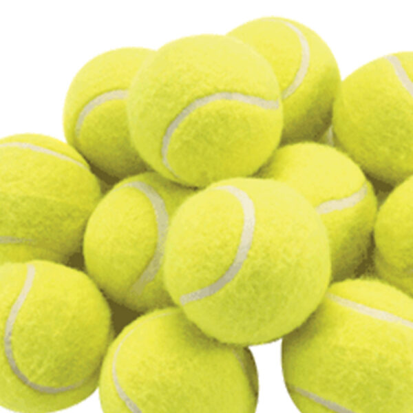 Coaching Quality Balls - Image 2