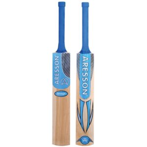 Image Cricket Bat