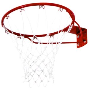 Fast Break Ring & Net