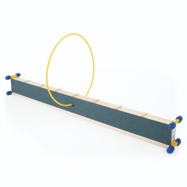 Gym Time Hoop - 210cm