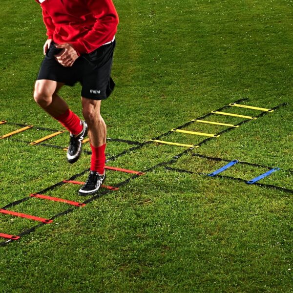 Quadruple Agility Ladders - Image 2