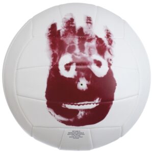 Mr Wilson Volleyball