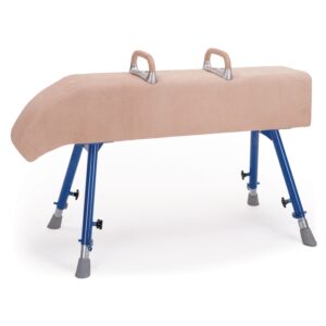 Vaulting Horse