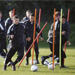 Spring Base Boundary Poles