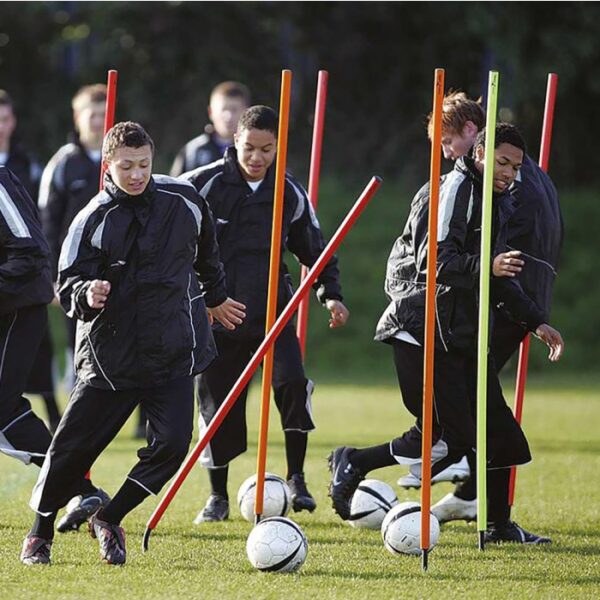 Spring Base Boundary Poles