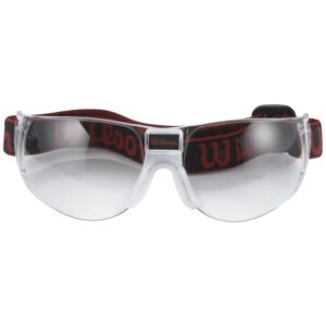 Omni Goggles