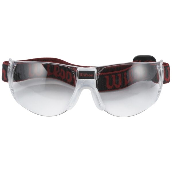 Omni Goggles